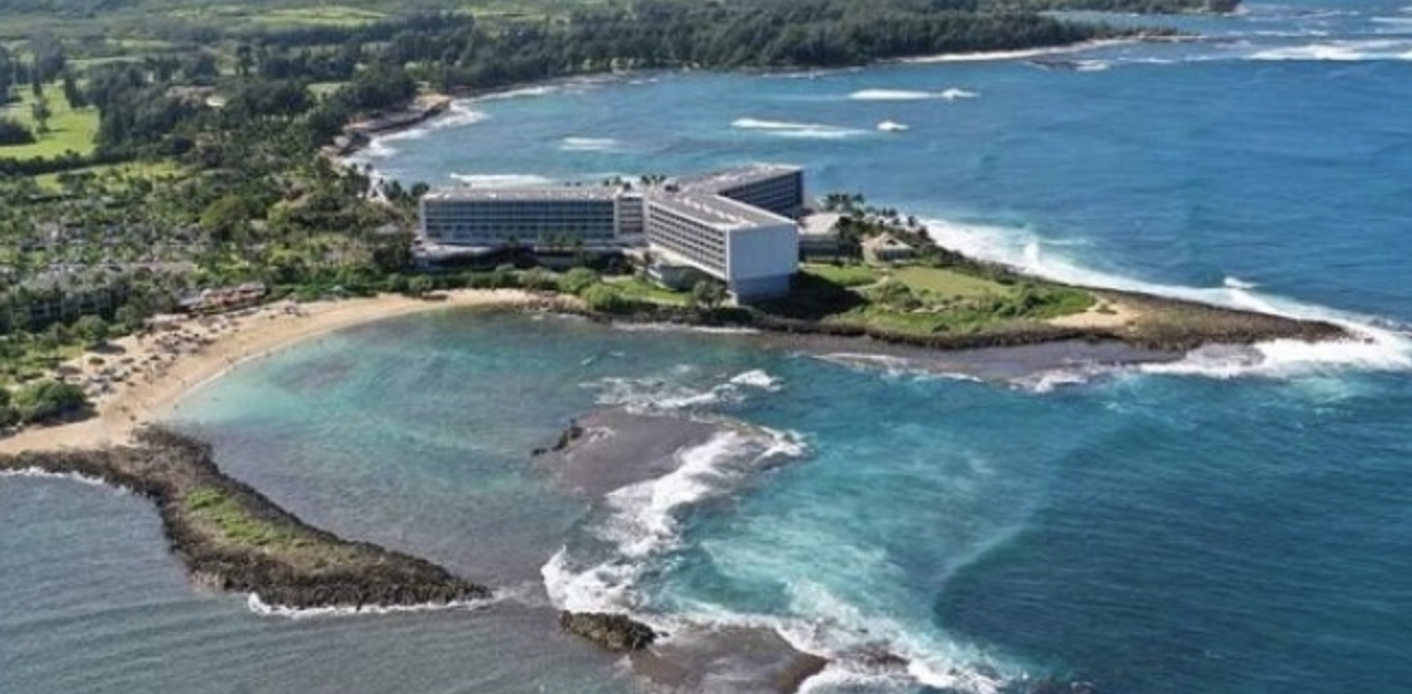 Turtle Bay.png