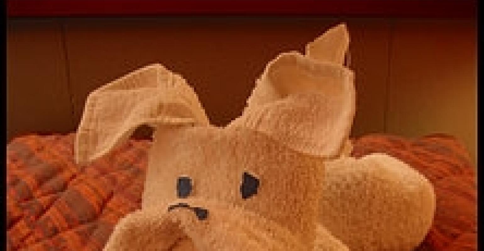 Towel origami, anyone? | MeetingsNet Towel origami, anyone? | MeetingsNet