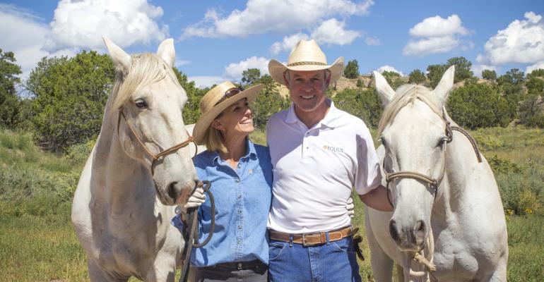 Therapy Horses