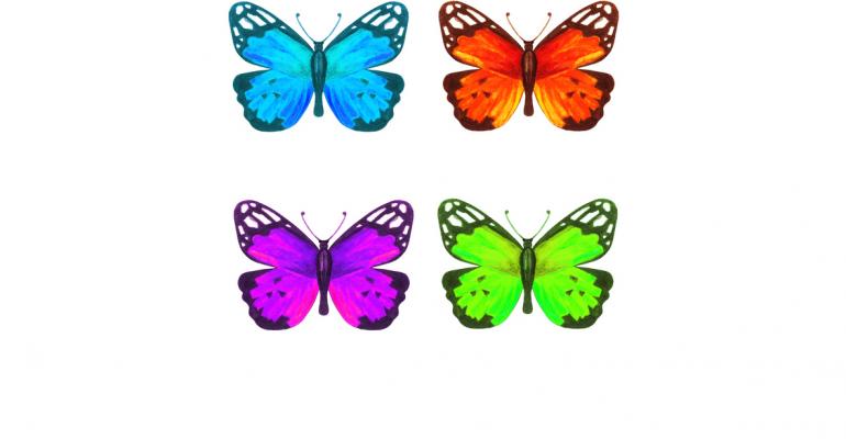 butterflies