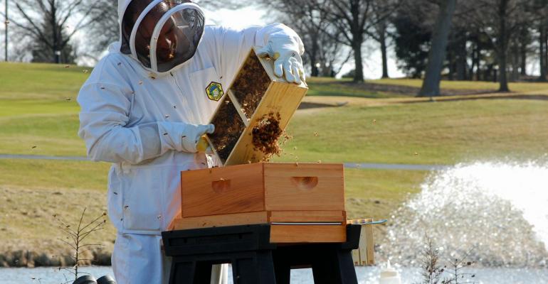 Beekeeper Chef Sean Patrick Curry installing bee colonies at the Hilton ChicagoOak Brook Hills Resort amp Conference Centerrsquos Horticultural Gallery The Gallery officially opens on Earth Day April 22 2015Photo credit Grimaldi Public Relations
