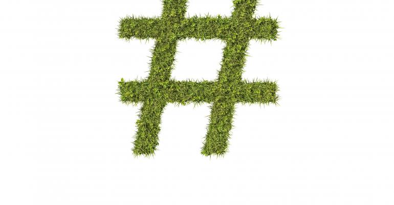 hashtag in grass
