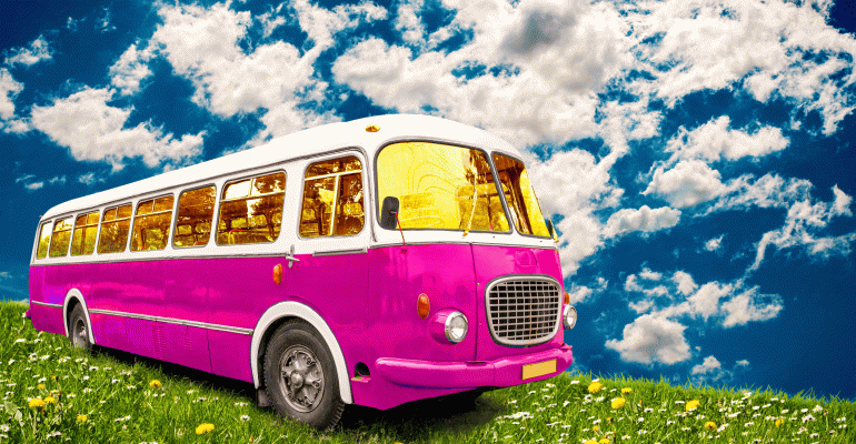 Pink bus in a green field