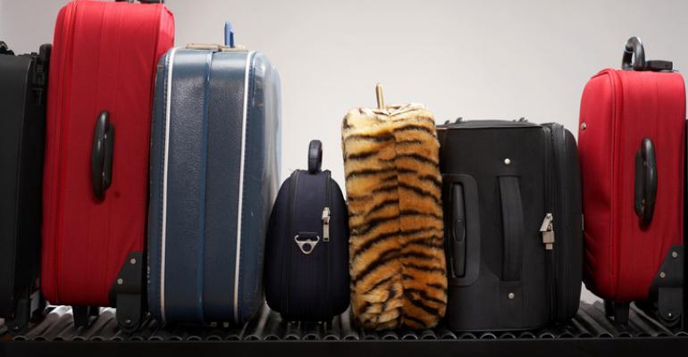 luggage_tiger.jpg