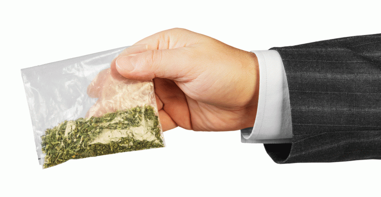 Businessman arm holding baggie of marijuana
