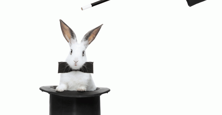 Rabbit being pulled out of a magic hat