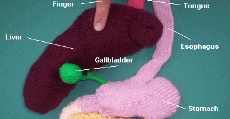 What every doc wants: a knitted digestive system
