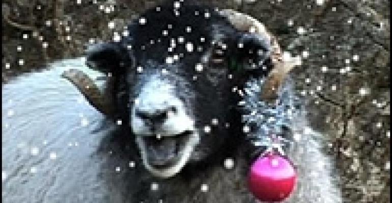 Baarmy sheep promote Cumbria in weird video