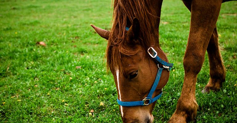 Lessons from the Corral