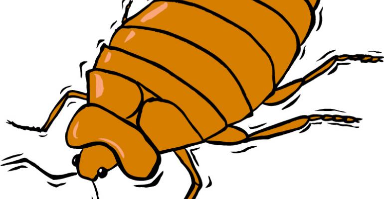 7 Things Meeting Planners Need to Know About Bedbugs