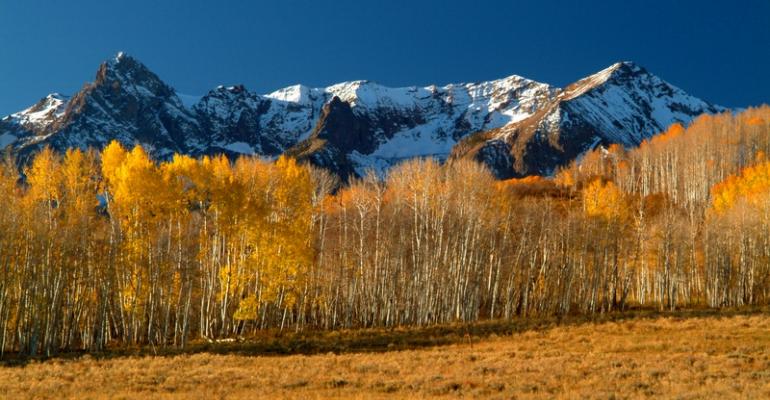 Telluride to Offer Group Experiential Development Tracks
