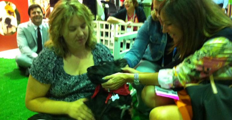 Puppy snuggling again was a big hit at MPIs 2012 World Education Congress