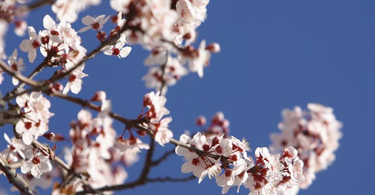 Springtime in DC means it39s time for ASAE39s Springtime EXPO