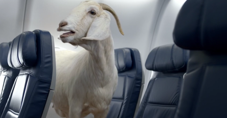 Delta&#039;s New Safety Video Is the &quot;Internetest&quot; Ever