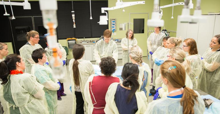 Handson participants at the inaugural Veterinary Technician Symposium 