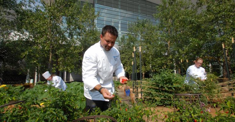 Centerplate Catering Executive Chef Carmen Callo selects produce from the Blue Bear Farm at the Colorado Convention Center As the exclusive caterer for the convention center Centerplate grows about 5000 pounds of produce annually at the onsite farm Credit StevieCrecelius