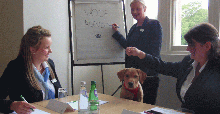 Russell the Labrador presiding over a meeting