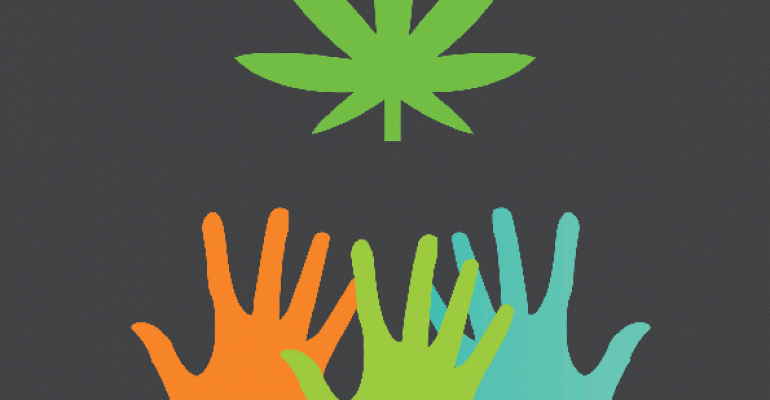 hands reaching for marijuana leaf