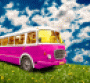 Pink bus in a green field