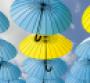 blue and yellow umbrellas