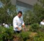 Centerplate Catering Executive Chef Carmen Callo selects produce from the Blue Bear Farm at the Colorado Convention Center As the exclusive caterer for the convention center Centerplate grows about 5000 pounds of produce annually at the onsite farm Credit StevieCrecelius