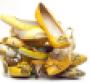 yellowshoes.jpg