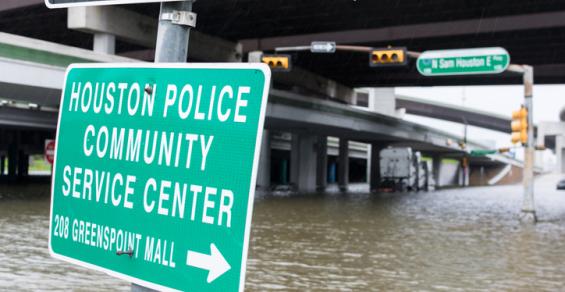Hurricane Hardship, but the Show Goes On