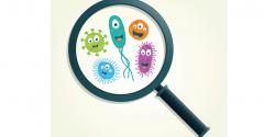 Cartoon germs under a magnifying glass