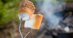 Should We Make Conferences More Like Summer Camps?