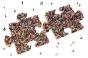 HumanPuzzlePieces.jpg