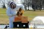 Beekeeper Chef Sean Patrick Curry installing bee colonies at the Hilton ChicagoOak Brook Hills Resort amp Conference Centerrsquos Horticultural Gallery The Gallery officially opens on Earth Day April 22 2015Photo credit Grimaldi Public Relations