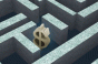 The Money Maze