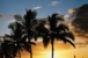 Florida Meeting Planner&#039;s Guide
