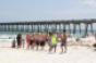 Gulf Coast Destinations Navigate Oil Spill