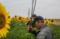 A group of miners search a field for debris and human remains from a Malaysia Airlines plane on July 18 in Grabovka UkrainePhoto by Brendan HoffmanGetty Images