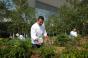 Centerplate Catering Executive Chef Carmen Callo selects produce from the Blue Bear Farm at the Colorado Convention Center As the exclusive caterer for the convention center Centerplate grows about 5000 pounds of produce annually at the onsite farm Credit StevieCrecelius