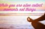 while you are alive collect moments not things