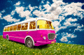 Pink bus in a green field