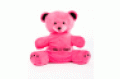 The Ovation Global DMC39s cute little bear mascot