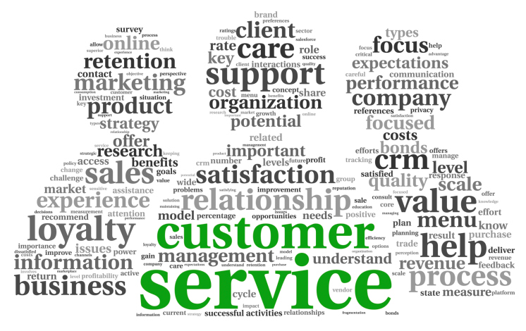 Customer service experience essay