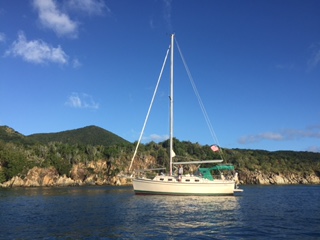 Our pretty, aptly named Paradiso